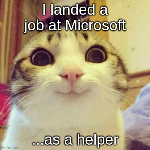 Job at microsoft = job at microsoft | I landed a job at Microsoft; ...as a helper | image tagged in memes,smiling cat | made w/ Imgflip meme maker