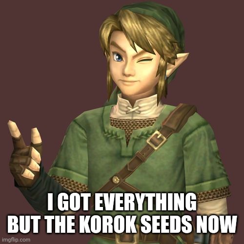 Zelda | I GOT EVERYTHING BUT THE KOROK SEEDS NOW | image tagged in zelda | made w/ Imgflip meme maker