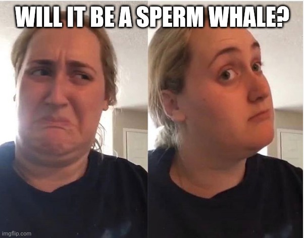 hmmm | WILL IT BE A SPERM WHALE? | image tagged in hmmm | made w/ Imgflip meme maker