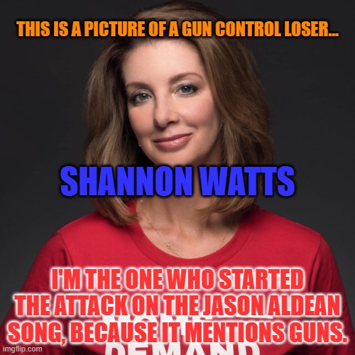 Shannon Watts | THIS IS A PICTURE OF A GUN CONTROL LOSER... SHANNON WATTS; I'M THE ONE WHO STARTED THE ATTACK ON THE JASON ALDEAN SONG, BECAUSE IT MENTIONS GUNS. | image tagged in shannon watts | made w/ Imgflip meme maker
