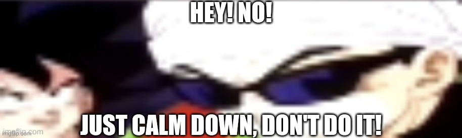 hey, no, stop, just calm down, don't do it | HEY! NO! JUST CALM DOWN, DON'T DO IT! | image tagged in hey no stop just calm down don't do it | made w/ Imgflip meme maker