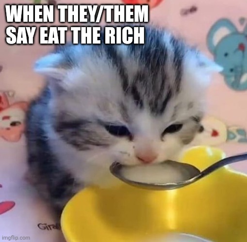 It's Klaus Schuab holding the spoon | WHEN THEY/THEM SAY EAT THE RICH | image tagged in kitten drinking milk,eat the rich,they don't know,jokes on you,lap dog,useful idiots | made w/ Imgflip meme maker