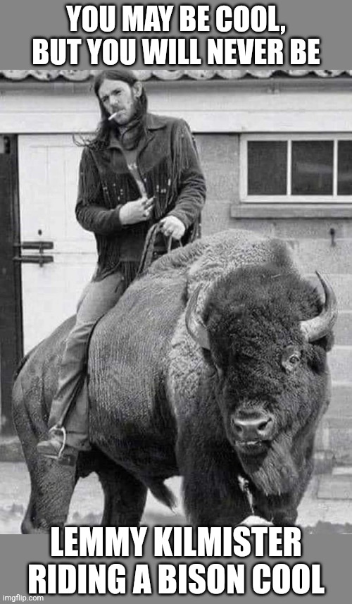 Motorhead Bison | YOU MAY BE COOL, BUT YOU WILL NEVER BE; LEMMY KILMISTER RIDING A BISON COOL | image tagged in lemmy kilmister,motorhead,bison,buffalo,ride,heavy metal | made w/ Imgflip meme maker