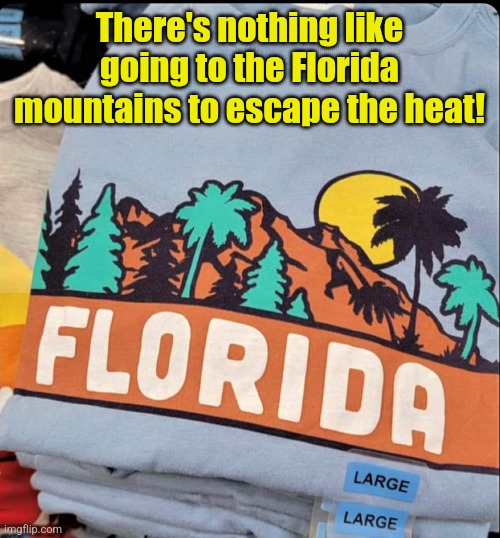 The Great Florida Mountains | There's nothing like going to the Florida mountains to escape the heat! | image tagged in florida,mountains,discovering something that doesn't exist,funny,t-shirt | made w/ Imgflip meme maker