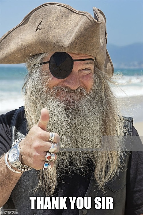 PIRATE THUMBS UP | THANK YOU SIR | image tagged in pirate thumbs up | made w/ Imgflip meme maker