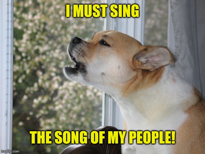 Dog barking | I MUST SING THE SONG OF MY PEOPLE! | image tagged in dog barking | made w/ Imgflip meme maker