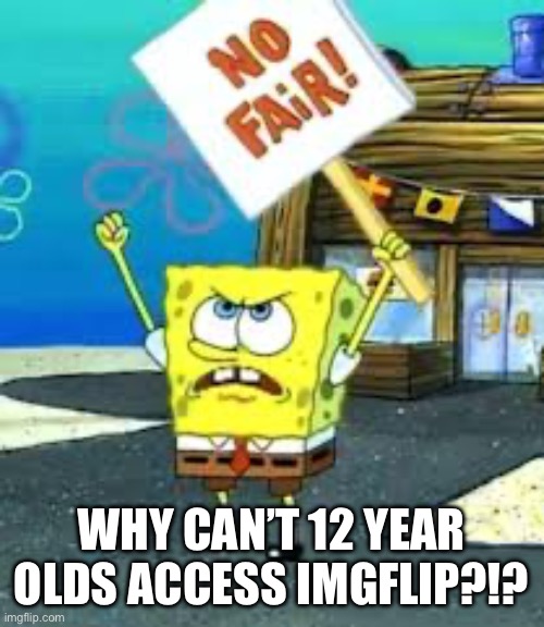 Krusty Krab is unfair | WHY CAN’T 12 YEAR OLDS ACCESS IMGFLIP?!? | image tagged in krusty krab is unfair,imgflip,meanwhile on imgflip | made w/ Imgflip meme maker