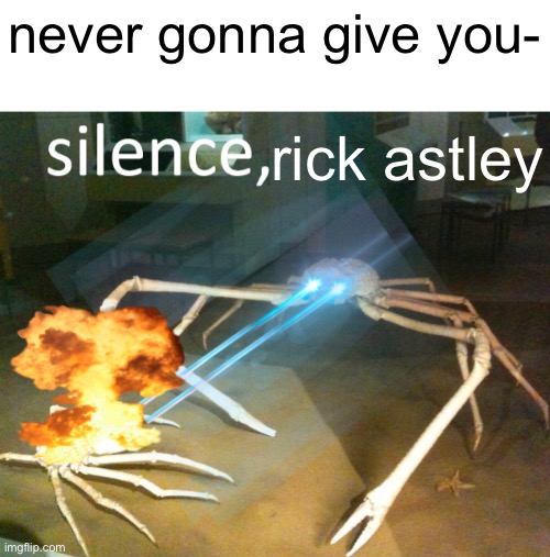 rickroll bad one two buckle my shoe good and no person pointing at imgflip sign templates, SPLODGEOFCHIPPY!!!! | never gonna give you-; rick astley | image tagged in silence crab | made w/ Imgflip meme maker