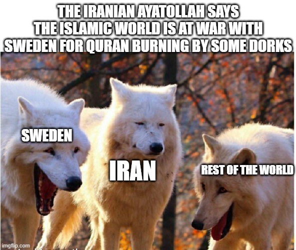 Oh Iran, you silly goose! | THE IRANIAN AYATOLLAH SAYS THE ISLAMIC WORLD IS AT WAR WITH SWEDEN FOR QURAN BURNING BY SOME DORKS; SWEDEN; REST OF THE WORLD; IRAN | image tagged in laughing wolves | made w/ Imgflip meme maker