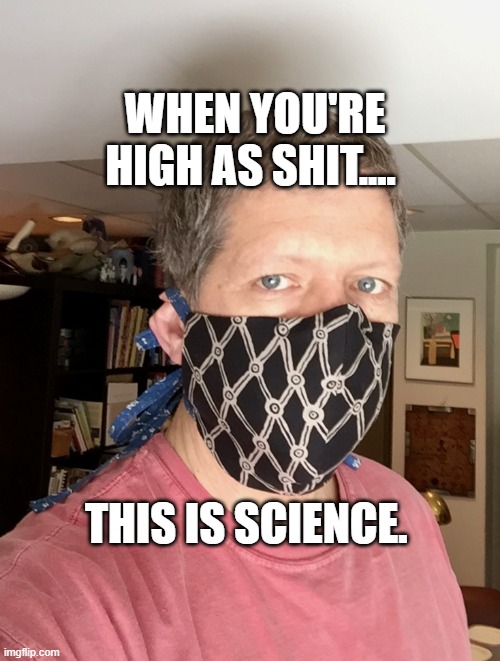 Sewn COVID 19 Mask | WHEN YOU'RE HIGH AS SHIT.... THIS IS SCIENCE. | image tagged in sewn covid 19 mask | made w/ Imgflip meme maker