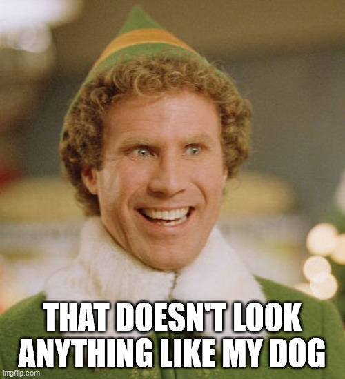 Buddy The Elf Meme | THAT DOESN'T LOOK ANYTHING LIKE MY DOG | image tagged in memes,buddy the elf | made w/ Imgflip meme maker