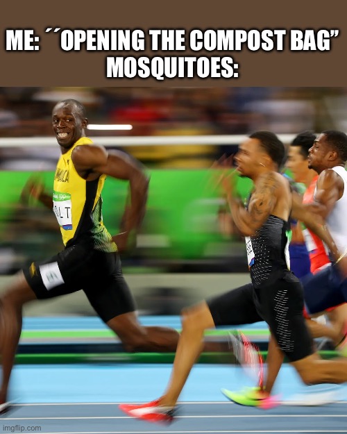 ME: ´´OPENING THE COMPOST BAG’’
MOSQUITOES: | image tagged in memes,funny memes,race,usain bolt running,school | made w/ Imgflip meme maker