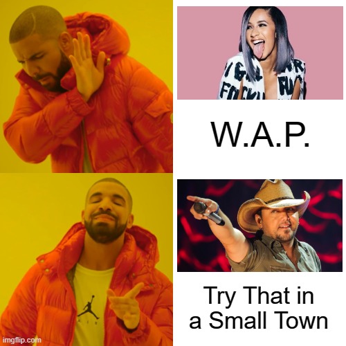 Hypocrasy in Music | W.A.P. Try That in a Small Town | image tagged in memes,drake hotline bling | made w/ Imgflip meme maker
