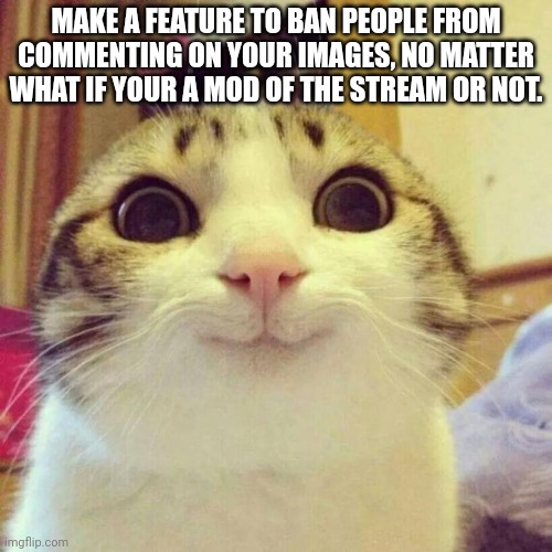 Smiling Cat | MAKE A FEATURE TO BAN PEOPLE FROM COMMENTING ON YOUR IMAGES, NO MATTER WHAT IF YOUR A MOD OF THE STREAM OR NOT. | image tagged in memes,smiling cat | made w/ Imgflip meme maker