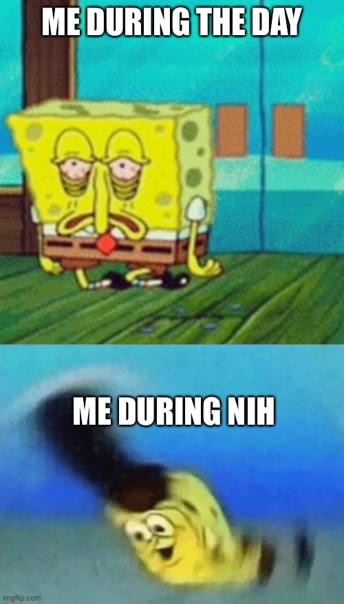 ME DURING THE DAY ME DURING NIGHT | image tagged in tired spongebob,pioneer | made w/ Imgflip meme maker