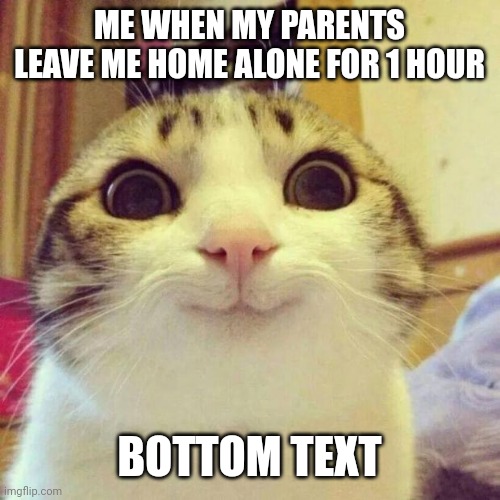 Home alone and kids be like | ME WHEN MY PARENTS LEAVE ME HOME ALONE FOR 1 HOUR; BOTTOM TEXT | image tagged in memes,smiling cat | made w/ Imgflip meme maker