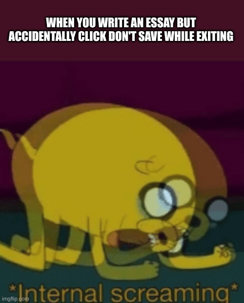 all the hard work is gone | WHEN YOU WRITE AN ESSAY BUT ACCIDENTALLY CLICK DON'T SAVE WHILE EXITING | image tagged in jake the dog internal screaming,funny,memes,funny memes | made w/ Imgflip meme maker