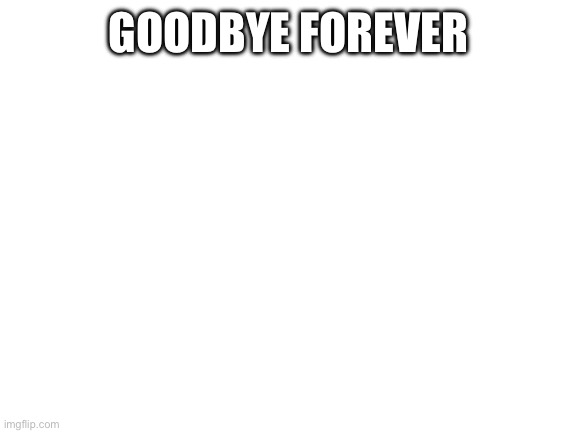 Bye | GOODBYE FOREVER | image tagged in blank white template | made w/ Imgflip meme maker