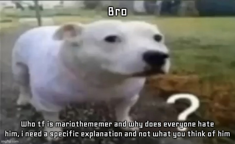 ? | Bro; Who tf is mariothememer and why does everyone hate him, i need a specific explanation and not what you think of him | made w/ Imgflip meme maker