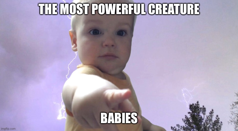 Power babies | THE MOST POWERFUL CREATURE; BABIES | image tagged in babies,power,funny | made w/ Imgflip meme maker