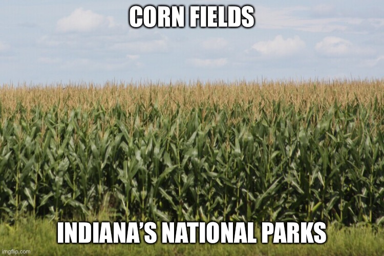 Indiana national parks | CORN FIELDS; INDIANA’S NATIONAL PARKS | image tagged in corn,indiana,meme | made w/ Imgflip meme maker
