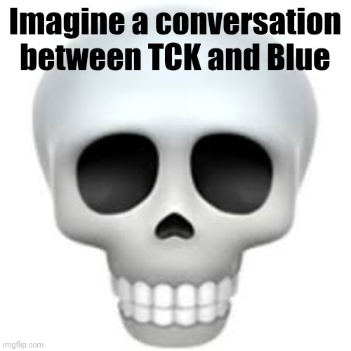 . | Imagine a conversation between TCK and Blue | image tagged in skull | made w/ Imgflip meme maker