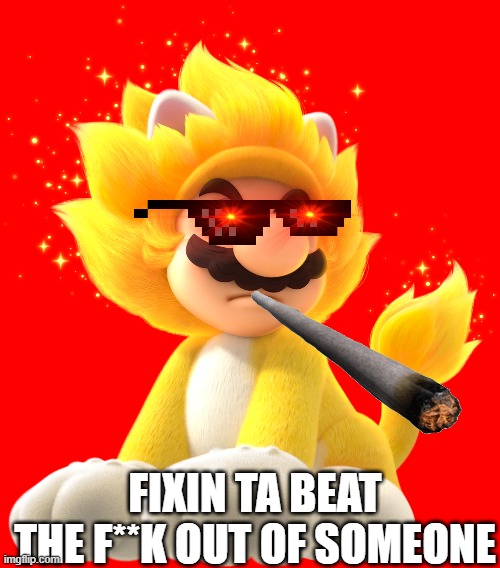 GIGA CAT MARIO MY GUY | FIXIN TA BEAT THE F**K OUT OF SOMEONE | image tagged in mario bros views | made w/ Imgflip meme maker