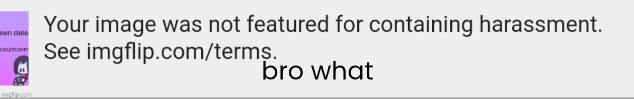 bro what | made w/ Imgflip meme maker