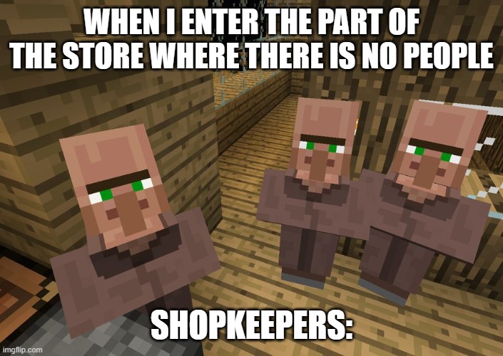 Via Villiager | WHEN I ENTER THE PART OF THE STORE WHERE THERE IS NO PEOPLE; SHOPKEEPERS: | image tagged in minecraft villagers | made w/ Imgflip meme maker
