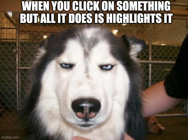 Fr | WHEN YOU CLICK ON SOMETHING BUT ALL IT DOES IS HIGHLIGHTS IT | image tagged in annoyed dog | made w/ Imgflip meme maker
