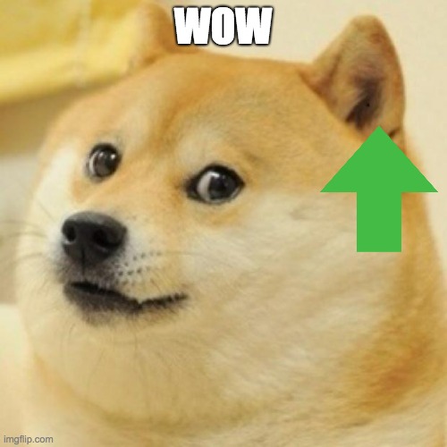 wow doge | WOW | image tagged in wow doge | made w/ Imgflip meme maker