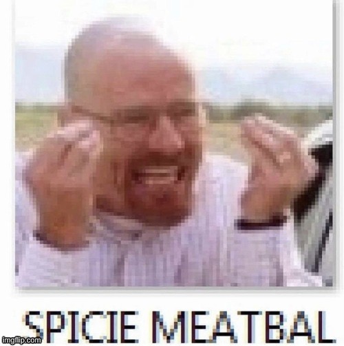 Spicie meatball | image tagged in spicie meatball | made w/ Imgflip meme maker