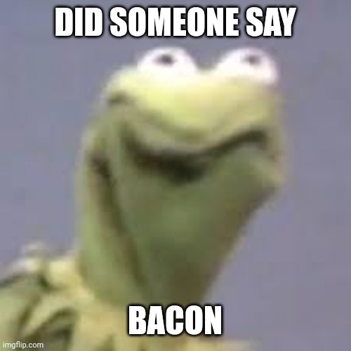 Bacon | DID SOMEONE SAY; BACON | image tagged in kermit is not happy | made w/ Imgflip meme maker