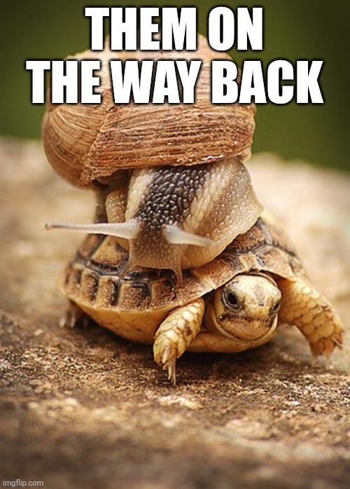 Slow Day | THEM ON THE WAY BACK | image tagged in slow day | made w/ Imgflip meme maker