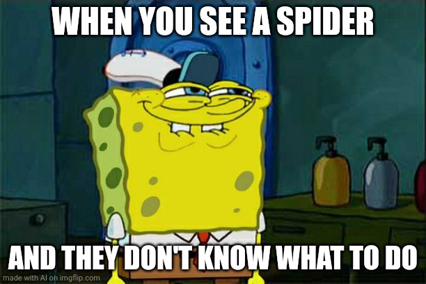 Don't You Squidward | WHEN YOU SEE A SPIDER; AND THEY DON'T KNOW WHAT TO DO | image tagged in bro | made w/ Imgflip meme maker