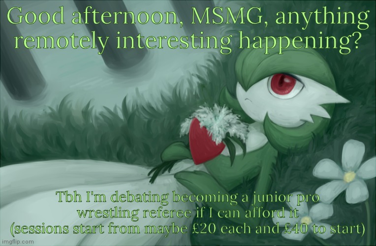 I know nobody asked, but still. Also, crembrule | Good afternoon, MSMG, anything remotely interesting happening? Tbh I'm debating becoming a junior pro wrestling referee if I can afford it (sessions start from maybe £20 each and £40 to start) | image tagged in gardevoir lying in the grass | made w/ Imgflip meme maker
