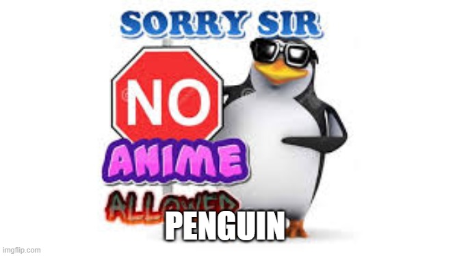 NO Anime Allowed | PENGUIN | image tagged in no anime allowed | made w/ Imgflip meme maker