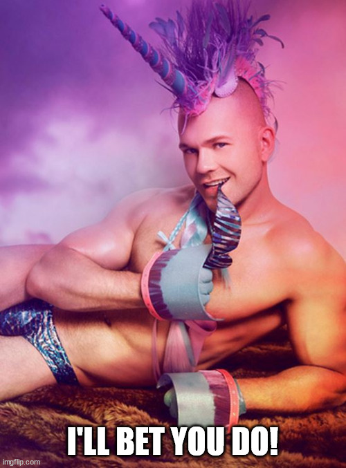 Sexy Gay Unicorn | I'LL BET YOU DO! | image tagged in sexy gay unicorn | made w/ Imgflip meme maker