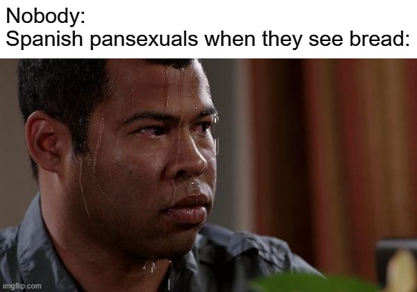 All the other jokes are about pansexuals loving kitchenware | Nobody:
Spanish pansexuals when they see bread: | image tagged in sweating bullets,pansexual,bread,spanish | made w/ Imgflip meme maker
