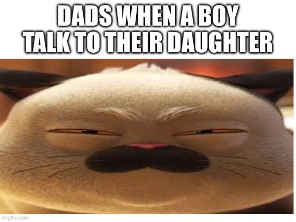 Dads be like | DADS WHEN A BOY TALK TO THEIR DAUGHTER | image tagged in grumpy cat,sus | made w/ Imgflip meme maker