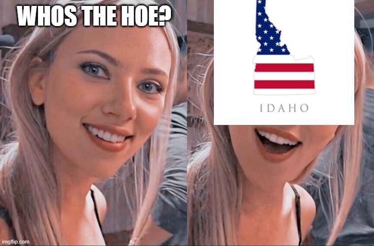 literal shit right there folks | WHOS THE HOE? | image tagged in surprised scarlett johansson | made w/ Imgflip meme maker