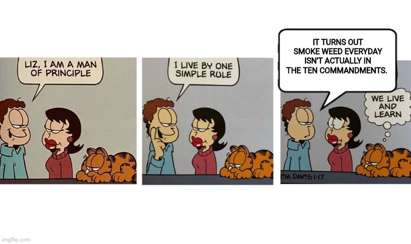 Life lessons with Jon | IT TURNS OUT SMOKE WEED EVERYDAY ISN'T ACTUALLY IN THE TEN COMMANDMENTS. | image tagged in i am a man of principal jon arbuckle,life lessons,jon,garfield | made w/ Imgflip meme maker