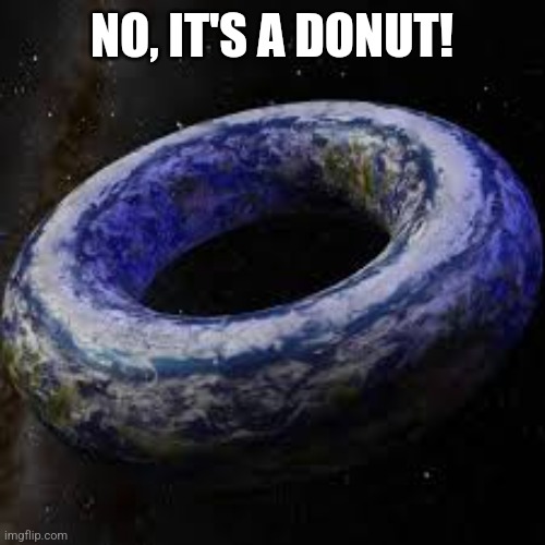 donut earth | NO, IT'S A DONUT! | image tagged in donut earth | made w/ Imgflip meme maker
