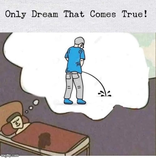 Only dream that comes true! | image tagged in memes,repost,relatable memes | made w/ Imgflip meme maker