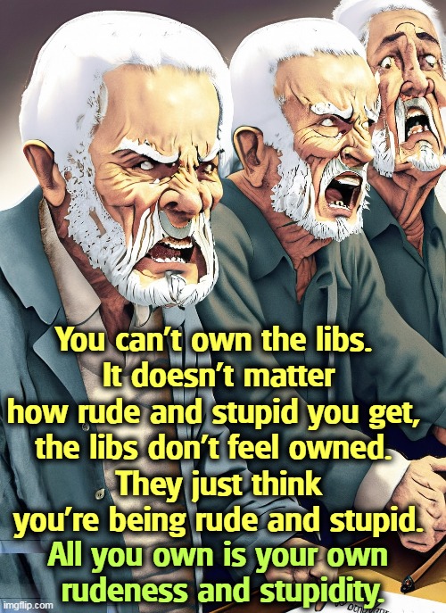 You can't own the libs. 
It doesn't matter how rude and stupid you get, 
the libs don't feel owned. 
They just think you're being rude and stupid. All you own is your own 
rudeness and stupidity. | image tagged in own the libs,maga,rude,stupid,failure | made w/ Imgflip meme maker