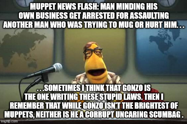 Muppet News Flash | MUPPET NEWS FLASH: MAN MINDING HIS OWN BUSINESS GET ARRESTED FOR ASSAULTING ANOTHER MAN WHO WAS TRYING TO MUG OR HURT HIM. . . . . .SOMETIME | image tagged in muppet news flash | made w/ Imgflip meme maker