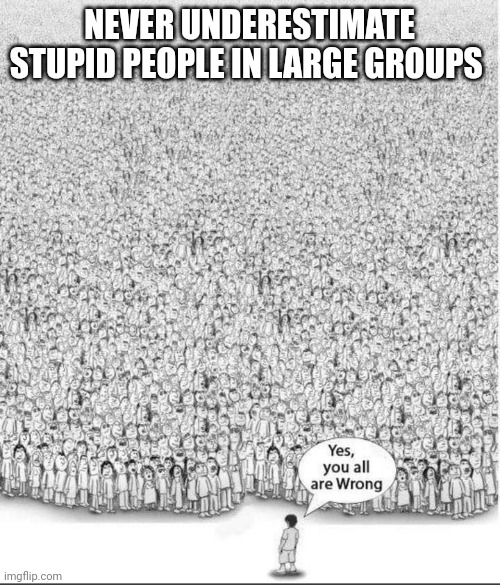 You are all wrong | NEVER UNDERESTIMATE STUPID PEOPLE IN LARGE GROUPS | image tagged in true story,truth,stupid people | made w/ Imgflip meme maker