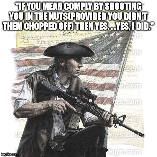 American Patriot | "IF YOU MEAN COMPLY BY SHOOTING YOU IN THE NUTS(PROVIDED YOU DIDN'T THEM CHOPPED OFF) THEN YES. . .YES, I DID." | image tagged in american patriot | made w/ Imgflip meme maker