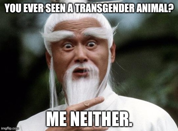 Let you know if I see one. | YOU EVER SEEN A TRANSGENDER ANIMAL? ME NEITHER. | image tagged in asian master | made w/ Imgflip meme maker