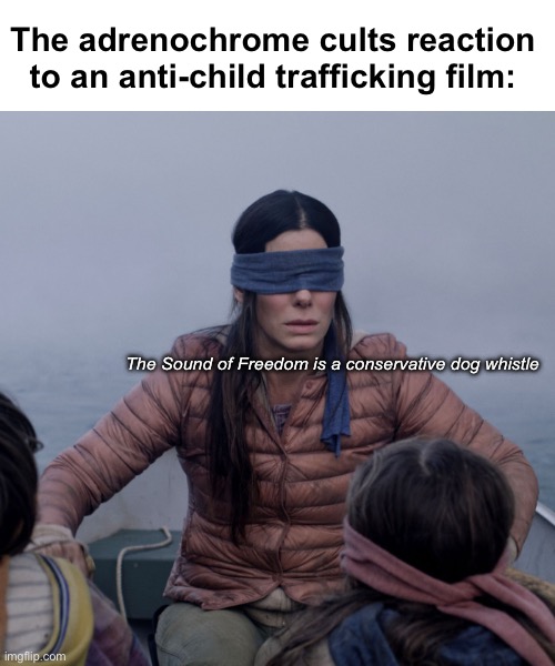 Nothing to see here. Move along | The adrenochrome cults reaction to an anti-child trafficking film:; The Sound of Freedom is a conservative dog whistle | image tagged in bird box,politics lol,funny memes | made w/ Imgflip meme maker
